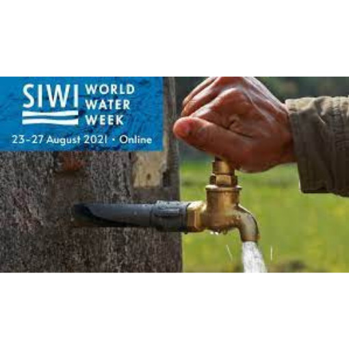 CWAS and SIWI present WASH Governance framework at World Water Week