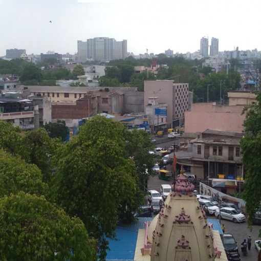 CUPP to work on urban greening plan in Ahmedabad 