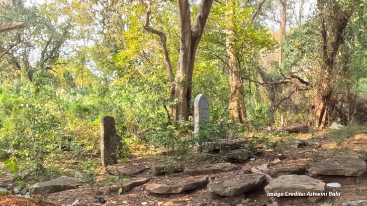 Conservation of Tribal Heritage